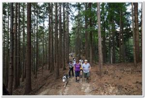 Bernard Štiglic - Pohod prijateljstva-11